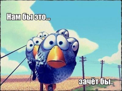 Прикрепленное изображение: Нам бы зачет.jpg